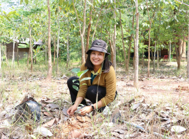 สหกรณ์จังหวัดบึงกาฬ พร้อมด้วยสหกรณ์การเกษตรเมืองบึงกาฬ ... พารามิเตอร์รูปภาพ 10